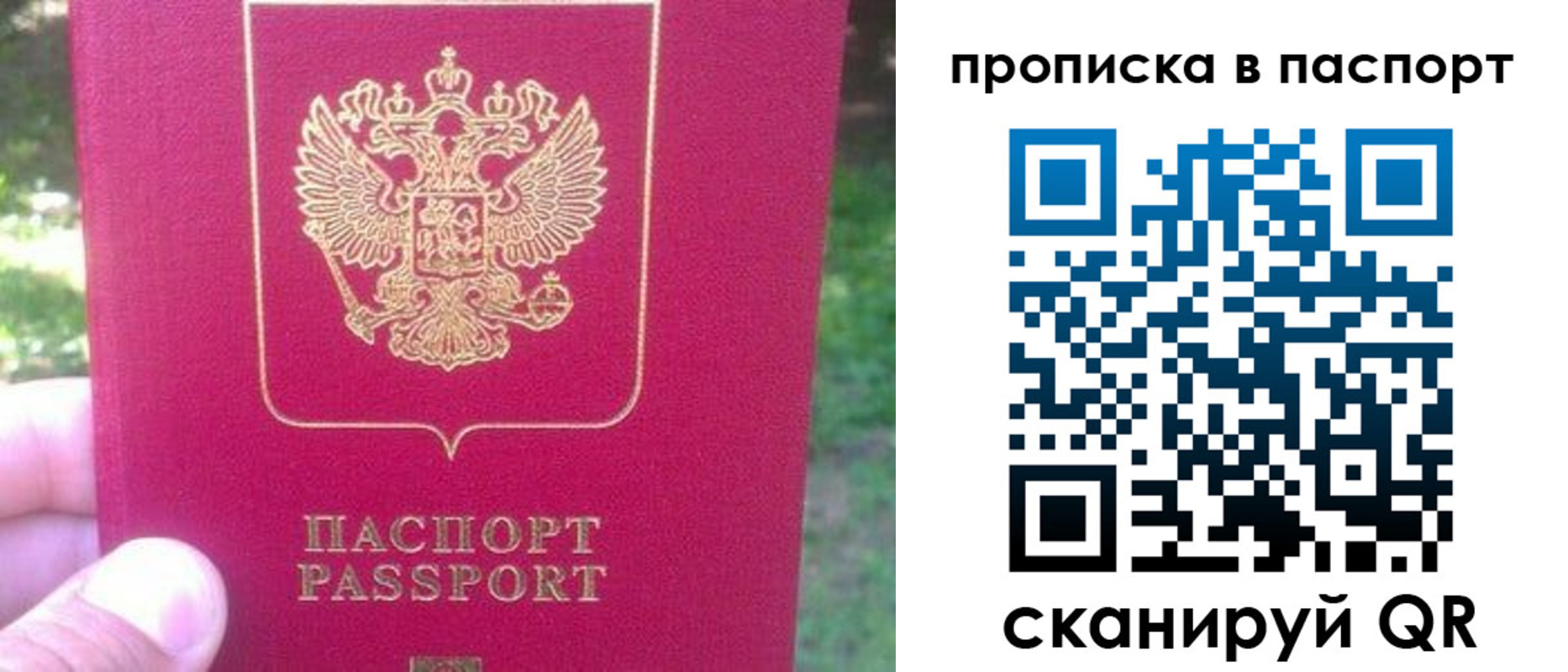 временная регистрация для всех в Апатитах